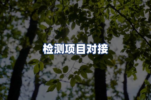 检测项目对接