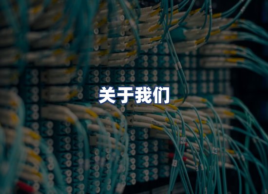 关于我们